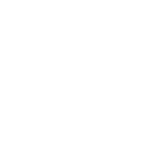 Aloha POS logo