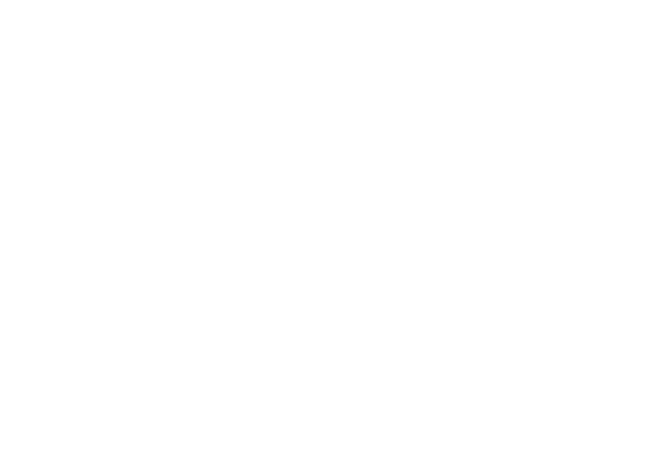 I.M.P. Group